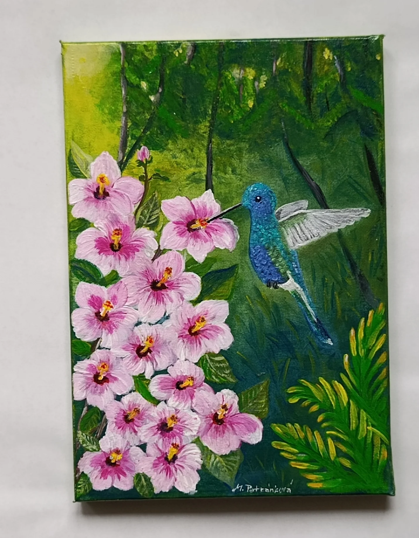 Kolibřík v objetí ibišku