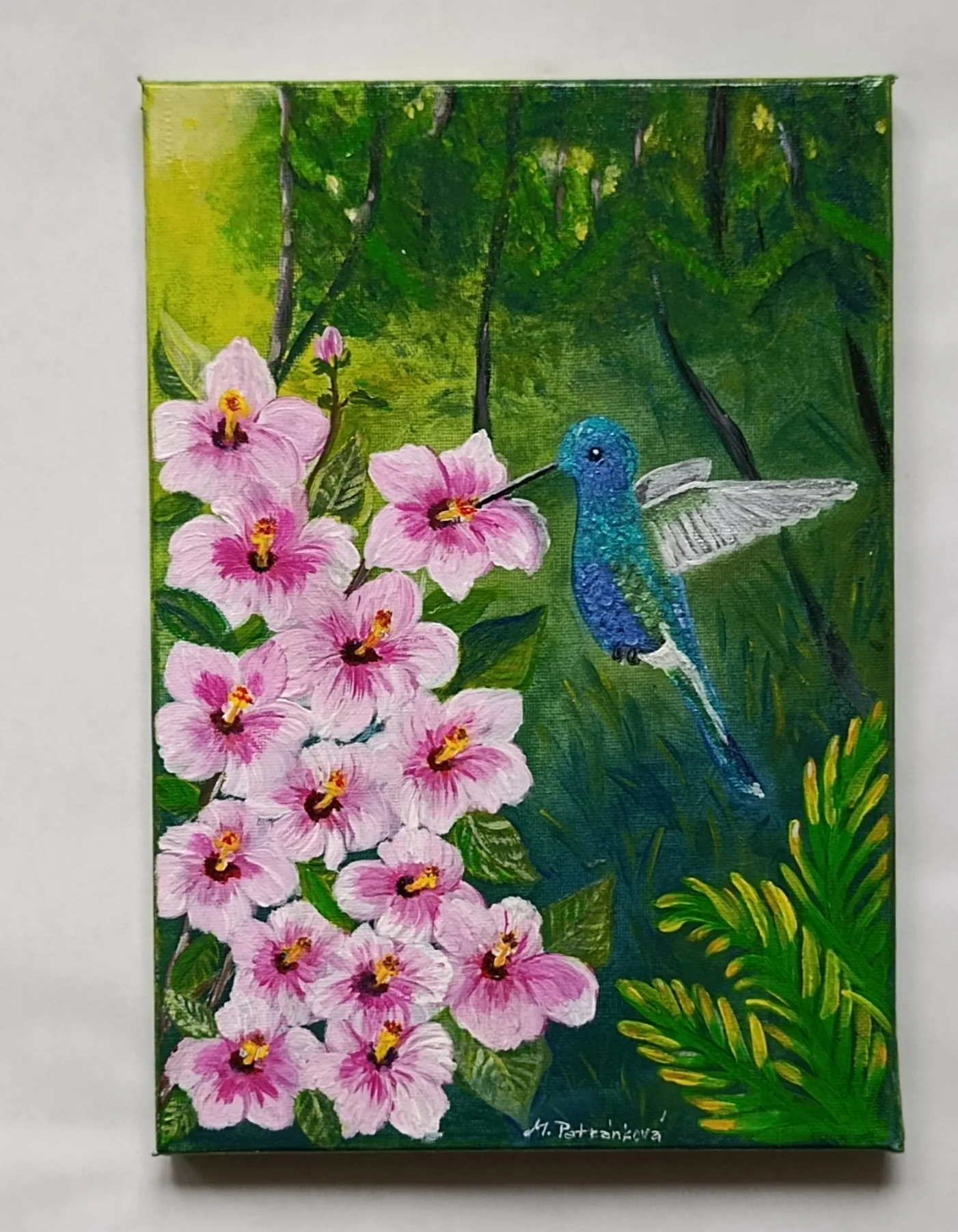 Kolibřík v objetí ibišku