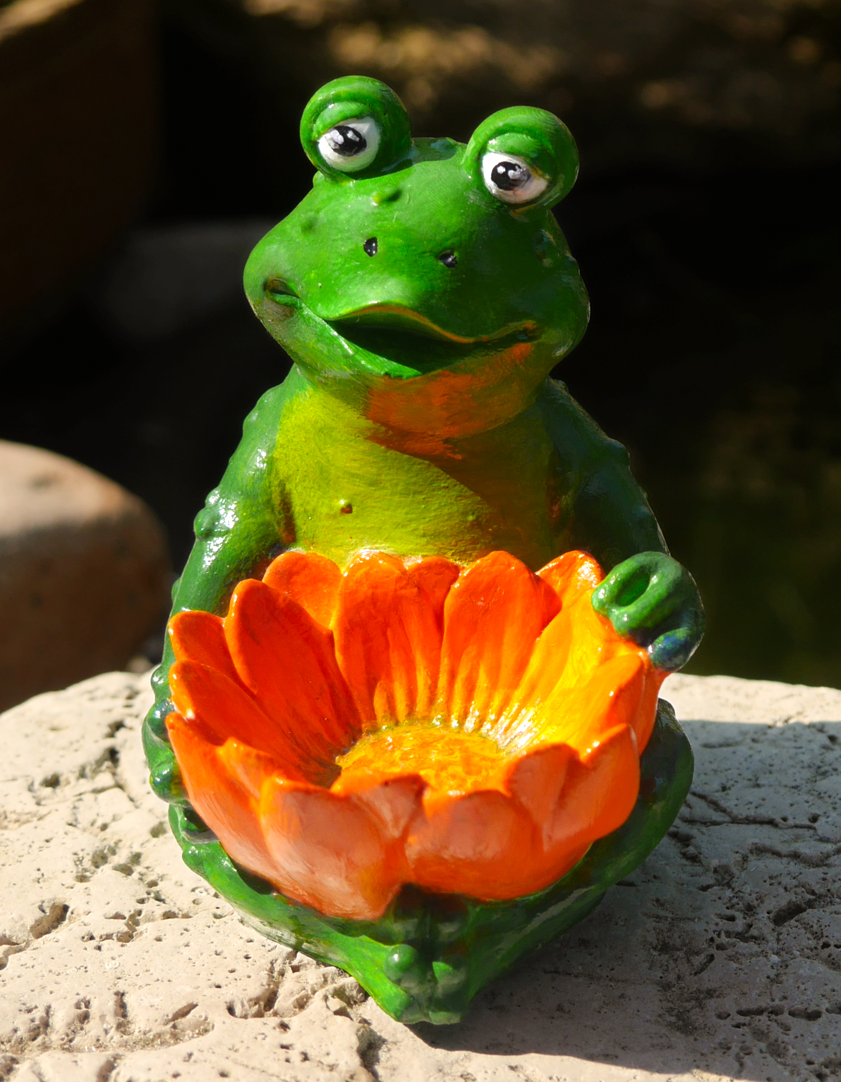 Žabák s oranžovým květem