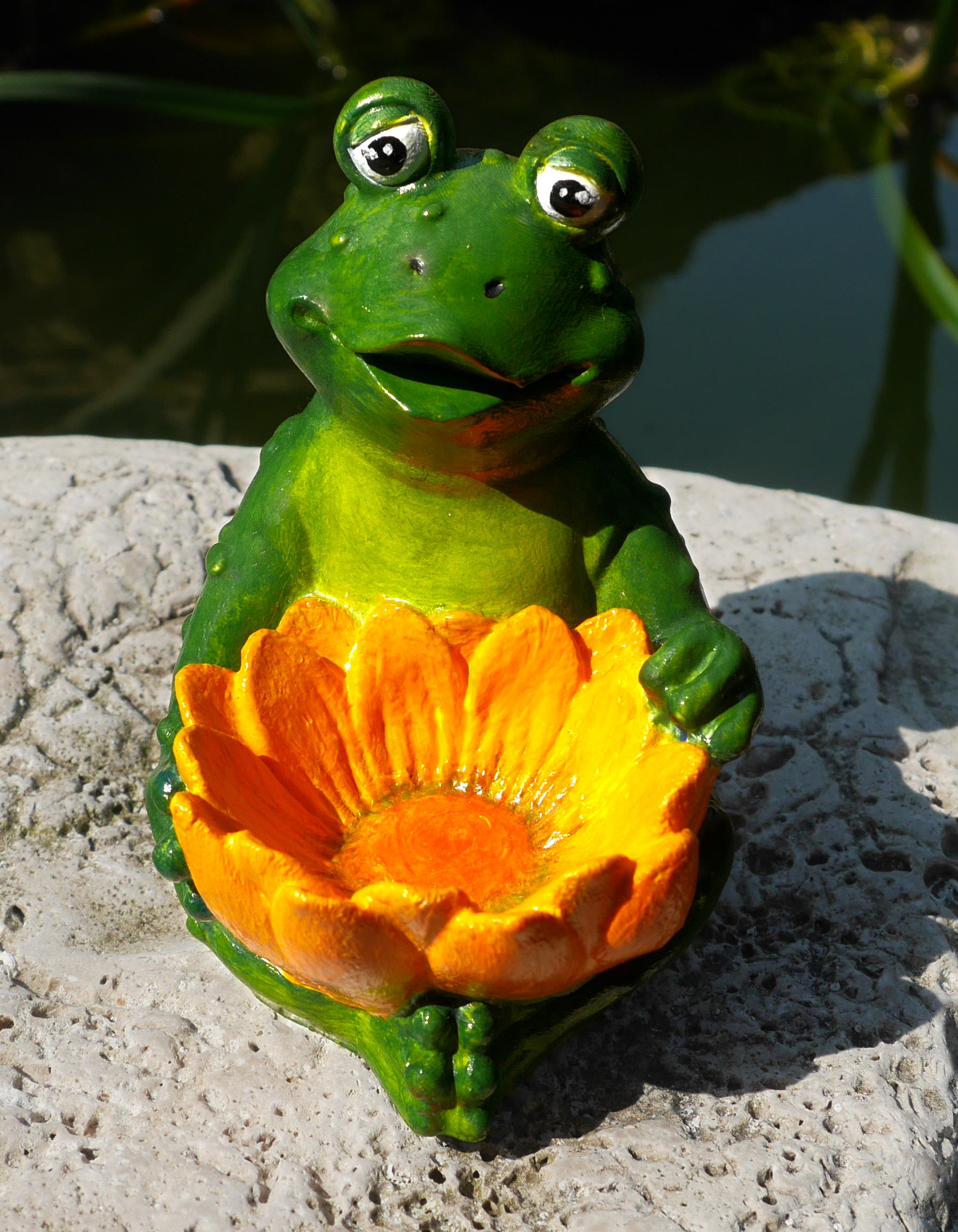 Žabák se žlutým květem