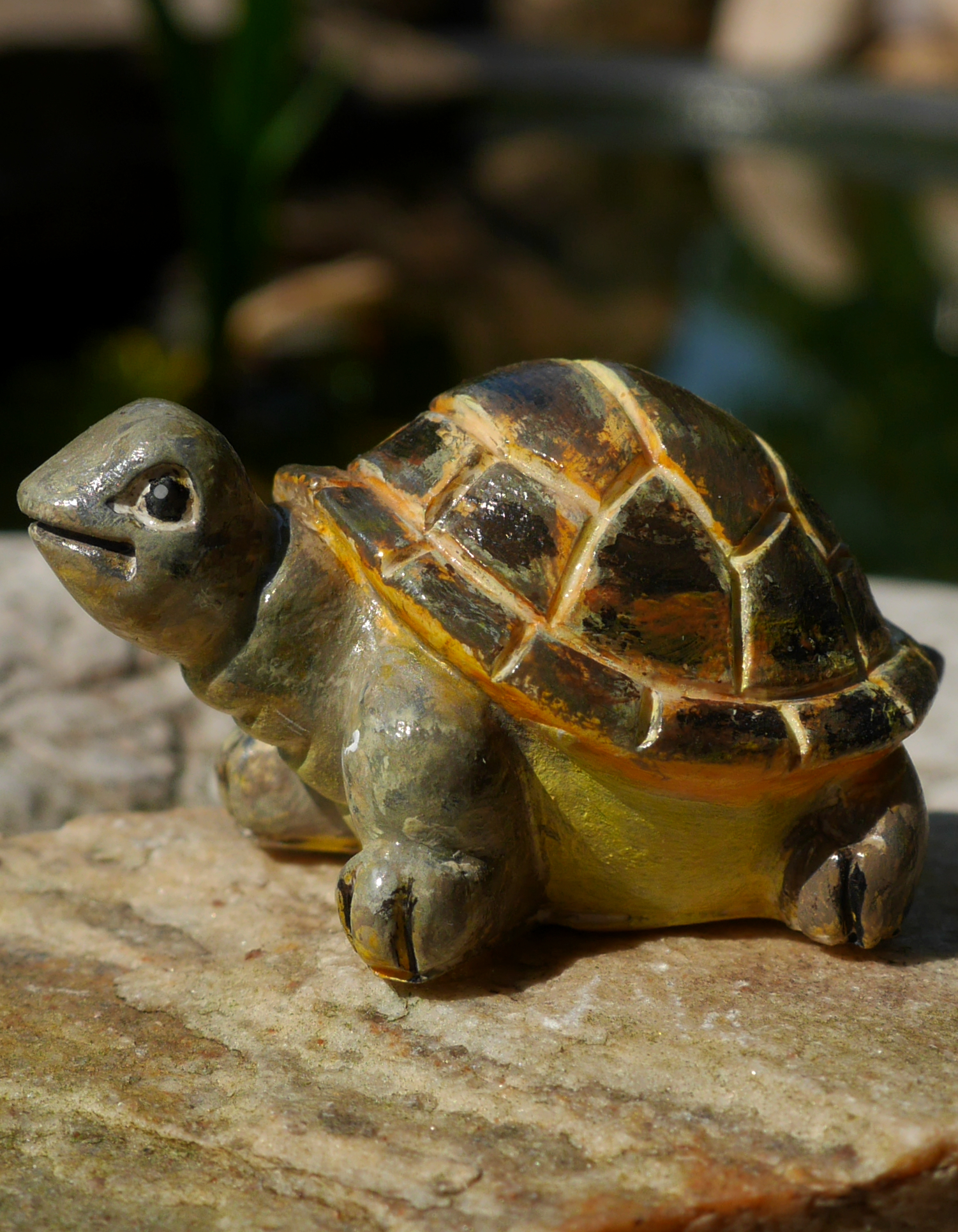 Želvička do minizahrádky